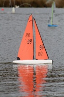 IMG_9568.JPG