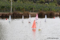 IMG_9648.JPG