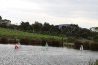 36-IMG_8707.JPG