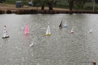 IMG_9679.JPG