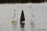 IMG_9802.JPG