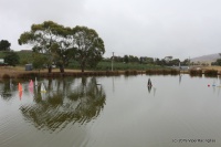 IMG_9348.JPG