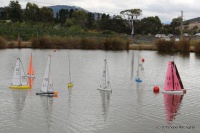 IMG_9384.JPG