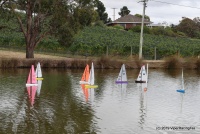 IMG_9397.JPG