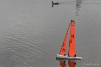 IMG_9423.JPG
