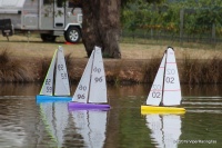 IMG_9469.JPG