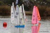 IMG_9486.JPG