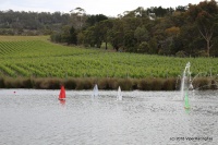50-IMG_8724.JPG