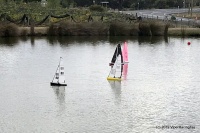 IMG_0979.jpg