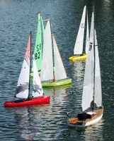 IMG_4657.jpg