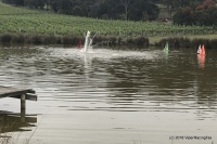 3-IMG_0534.jpg