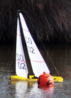 IMG_4664.jpg