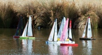 IMG_4679.jpg