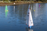 IMG_9915.JPG