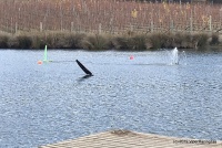 IMG_1144.jpg