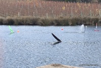 IMG_1145.jpg