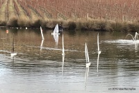 IMG_1171.jpg