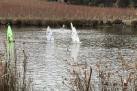 IMG_1185.jpg
