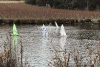 IMG_1186.jpg