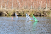 IMG_9963.JPG