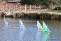 IMG_9965.JPG