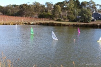 IMG_9970.JPG