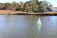 IMG_9972.JPG