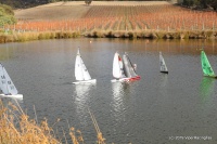 IMG_9980.JPG
