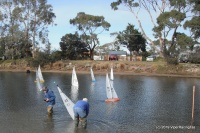 DSCF1196.JPG