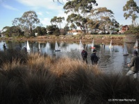 DSCF1207.JPG