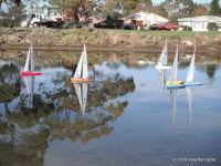 DSCF1210.JPG