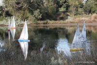 DSCF1221.JPG