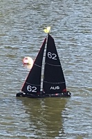 IMG_1319.jpg