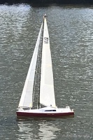 IMG_1325.jpg