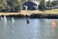 IMG_1334.jpg