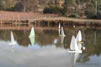 DSCF1239.JPG
