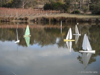 DSCF1240.JPG