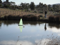 DSCF1250.JPG