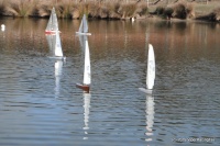 DSCF1252.JPG