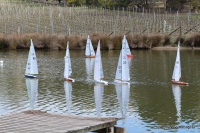 IMG_0486.JPG