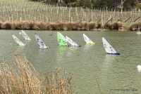 IMG_1574.jpg