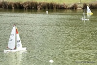 IMG_1596.jpg