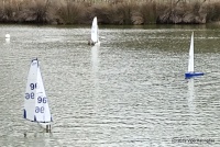 IMG_1597.jpg