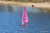 IMG_0517.JPG