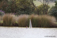 50-IMG_8638.JPG