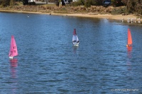 IMG_0525.JPG