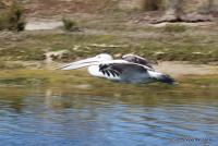 IMG_0548.JPG