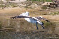 IMG_0549.JPG