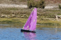 IMG_0553.JPG