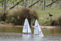 59-IMG_8647.JPG